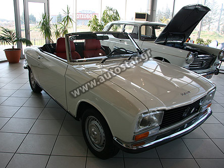 Peugeot304Amajoma1jpg