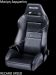 RECARO SPEED & CROSS